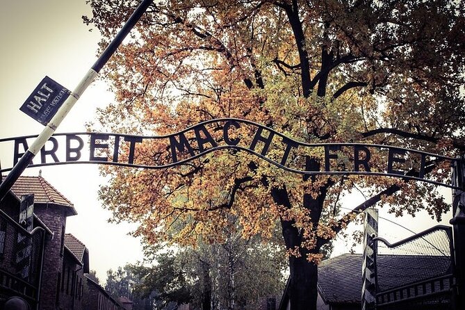 Krakow: Auschwitz-Birkenau Tour & Museum Expert Guide - Queues, uncertainty, and how to avoid a rough day
