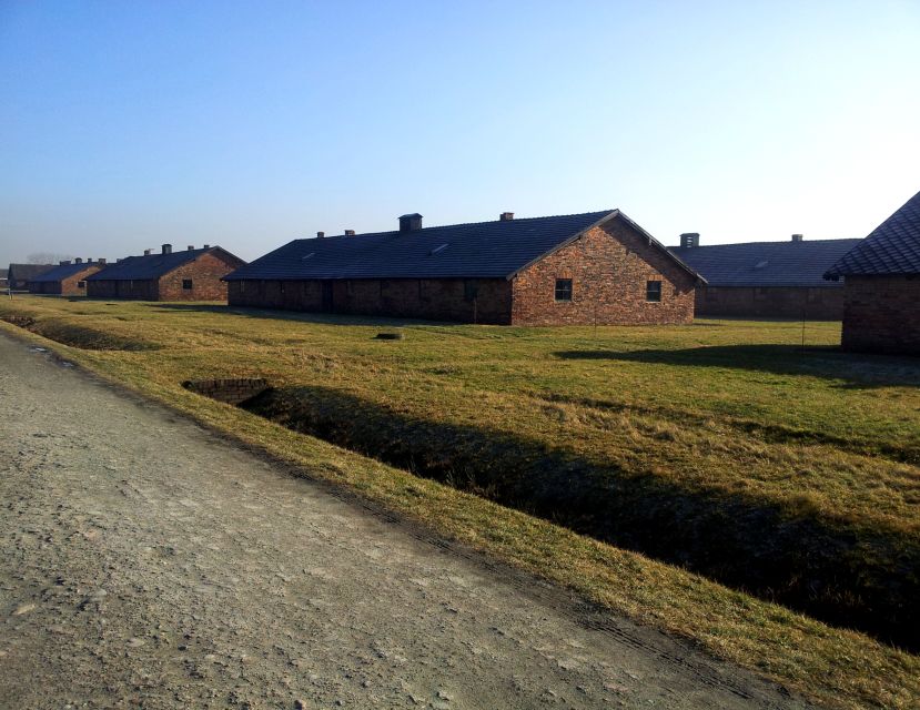 Krakow: Auschwitz-Birkenau & Wieliczka Salt Mine with Lunch - Guides and on-the-ground coordination: what tends to matter