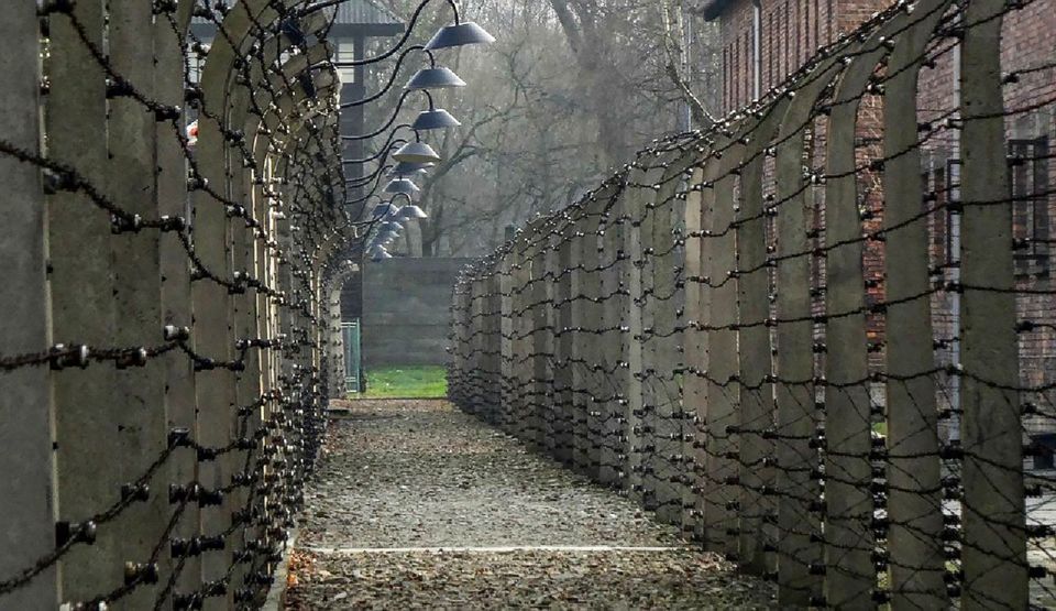 Krakow: Full-Day Auschwitz-Birkenau & Salt Mine Guided Tour - Guides, Drivers, and That Little Thing Called Organization