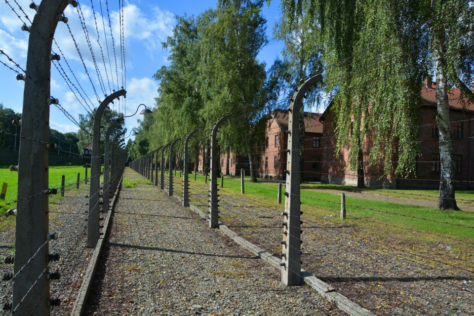 Krakow: Guided Auschwitz Birkenau Tour - Getting through entry: skip-the-line, but not “no lines”