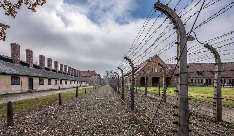 Krakow: Last Minute Auschwitz-Birkenau Guided Tour - Auschwitz I: Gate, Preserved Buildings, and a Guided Sense of Focus