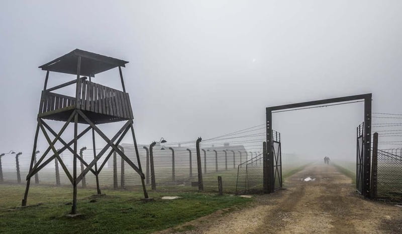 Krakow: Last Minute Auschwitz-Birkenau Guided Tour - Which Kind of Visitor This Tour Fits Best