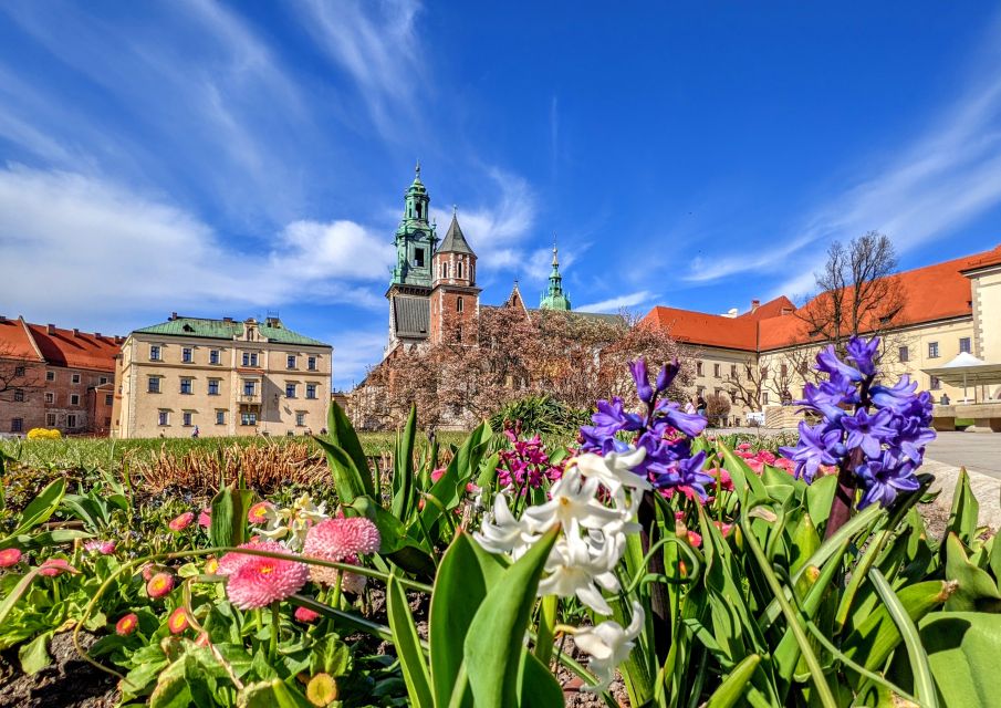 Kraków: Old Town & Wawel Castle Walking Tour in English - Wawel Hill: cathedral grounds, castle courtyard, and dragon lore