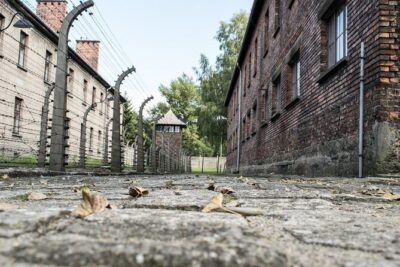 Krakow to Auschwitz Birkenau Guided Tour with Ticket and Transfer - How the full day runs: Auschwitz I, a short break, then Birkenau