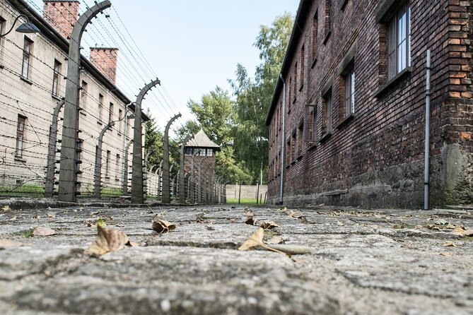 Krakow to Auschwitz Birkenau Guided Tour with Ticket and Transfer - How the full day runs: Auschwitz I, a short break, then Birkenau