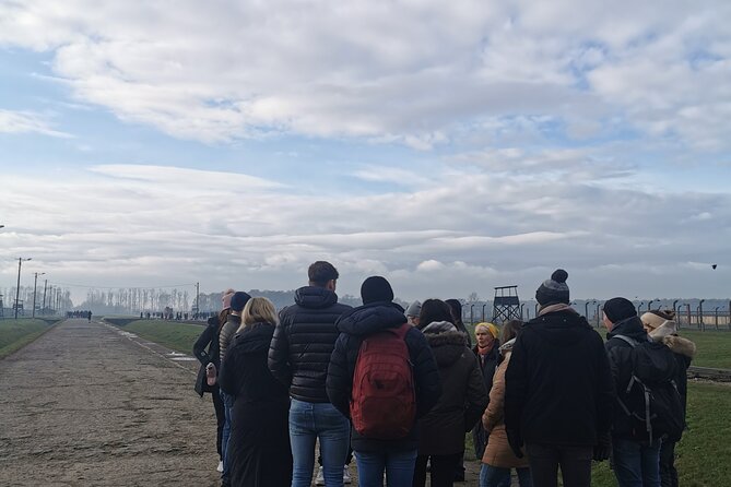 Krakow to Auschwitz Birkenau Guided Tour with Transfer and Ticket - Birkenau (Auschwitz II) at Brzezinka: open space, cold air, and the hard-to-grasp scale