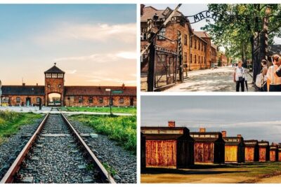 Krakow to Auschwitz-Birkenau Live Guided Tour & Hotel Pick-up - Admission included: what you gain by not paying at the gate