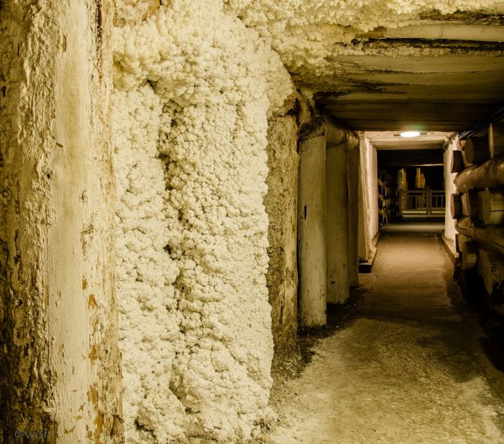 Krakow: Wieliczka Salt Mine Skip-the-Line Live Guided Tour - Timing, Steps, and the Lift Back Up