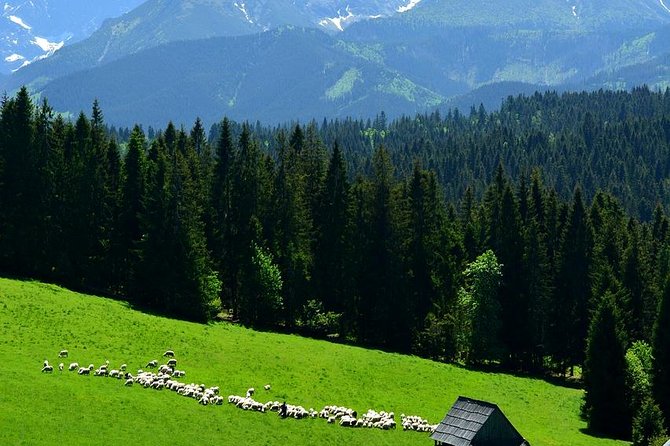 Krakow: Zakopane with Thermal Baths, Cable Car & Hotel Pickup - Krupówki Street time: where you go for food, stalls, and people-watching