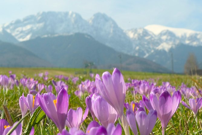 Zakopane and Tatras Mountains Day Tour from Krakow - Price and value: is $125.51 for 11 hours fair?