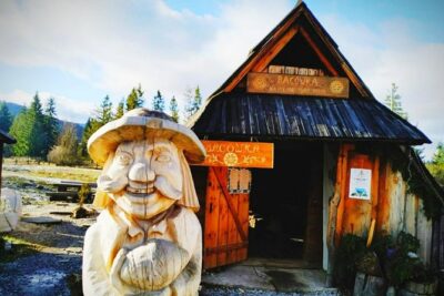 Zakopane Tour from Krakow – Highland Experience & Stunning Views - Zakopane town time: Krupówki Street for shopping, snacks, and people-watching